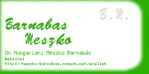 barnabas meszko business card